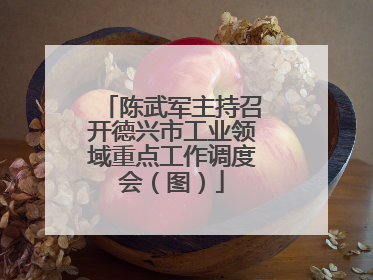 陈武军主持召开德兴市工业领域重点工作调度会（图）