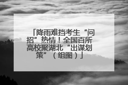 降雨难挡考生“问招”热情！全国百所高校聚湖北“出谋划策”（组图）
