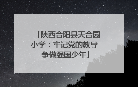 陕西合阳县天合园小学：牢记党的教导 争做强国少年