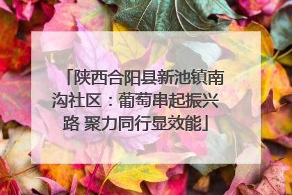 陕西合阳县新池镇南沟社区：葡萄串起振兴路 聚力同行显效能