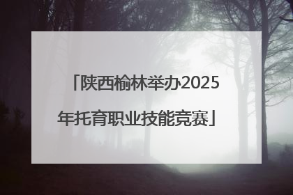 陕西榆林举办2025年托育职业技能竞赛