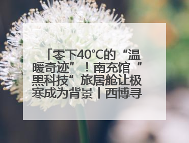 零下40℃的“温暖奇迹”！南充馆“黑科技”旅居舱让极寒成为背景丨西博寻“新”记
