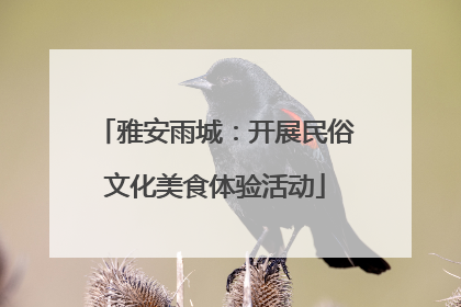 雅安雨城：开展民俗文化美食体验活动