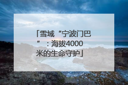 雪域“宁波门巴”：海拔4000米的生命守护