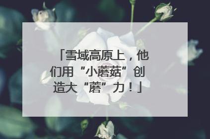 雪域高原上，他们用“小蘑菇”创造大“蘑”力！