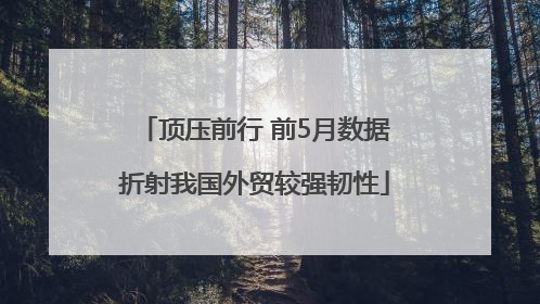 顶压前行 前5月数据折射我国外贸较强韧性