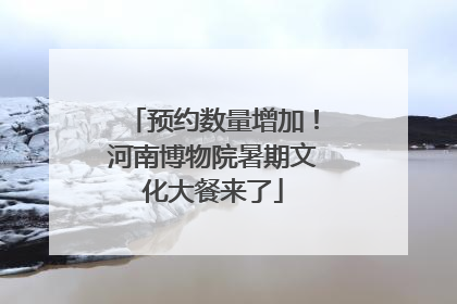 预约数量增加！河南博物院暑期文化大餐来了