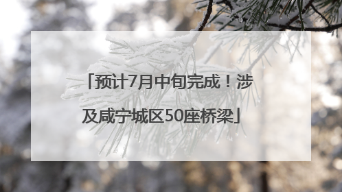 预计7月中旬完成！涉及咸宁城区50座桥梁