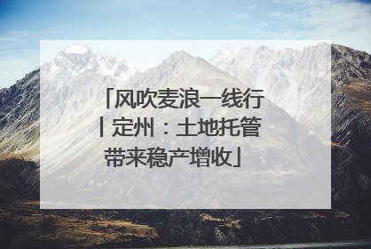 风吹麦浪一线行丨定州：土地托管带来稳产增收