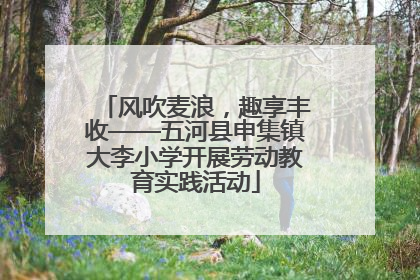 风吹麦浪，趣享丰收——五河县申集镇大李小学开展劳动教育实践活动