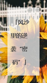 风沙里的逆袭“密码”