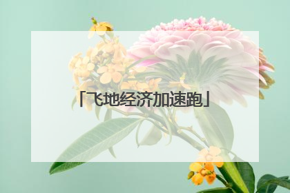 飞地经济加速跑