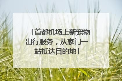 首都机场上新宠物出行服务，从家门一站抵达目的地