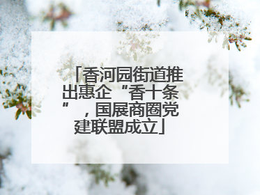 香河园街道推出惠企“香十条”，国展商圈党建联盟成立