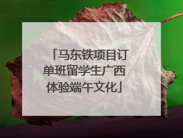 马东铁项目订单班留学生广西体验端午文化