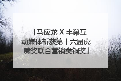 马应龙 X 丰巢互动媒体斩获第十六届虎啸奖联合营销类铜奖