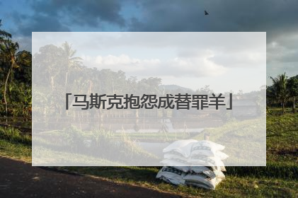 马斯克抱怨成替罪羊