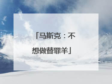 马斯克：不想做替罪羊