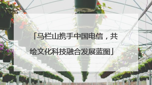 马栏山携手中国电信，共绘文化科技融合发展蓝图