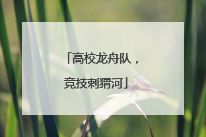 高校龙舟队，竞技刺猬河