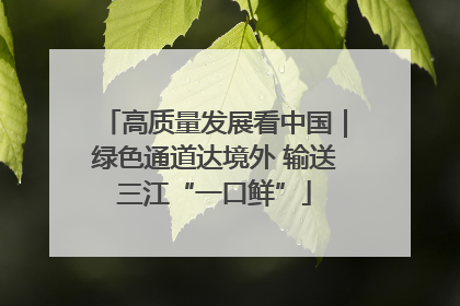 高质量发展看中国｜绿色通道达境外 输送三江“一口鲜”