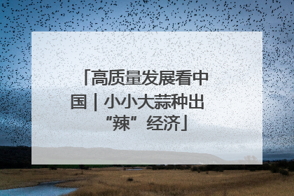 高质量发展看中国｜小小大蒜种出“辣”经济