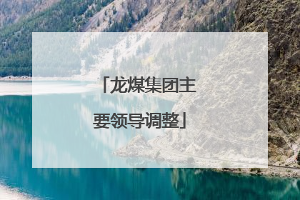 龙煤集团主要领导调整