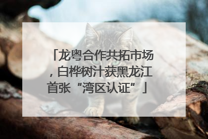 龙粤合作共拓市场，白桦树汁获黑龙江首张“湾区认证”