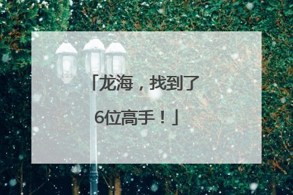 龙海，找到了6位高手！