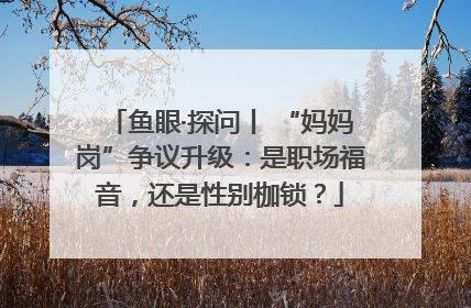 鱼眼·探问丨 “妈妈岗”争议升级：是职场福音，还是性别枷锁？