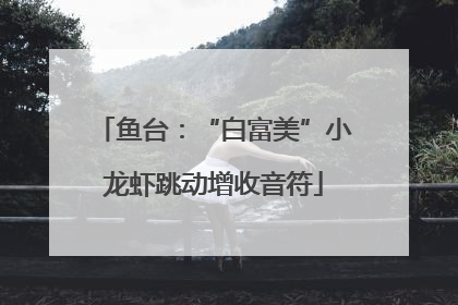 鱼台：“白富美”小龙虾跳动增收音符
