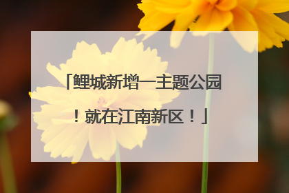 鲤城新增一主题公园！就在江南新区！