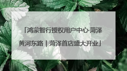 鸿蒙智行授权用户中心·菏泽黄河东路｜菏泽首店盛大开业