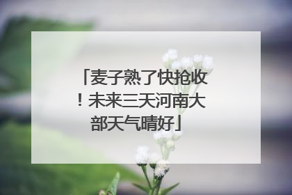 麦子熟了快抢收！未来三天河南大部天气晴好