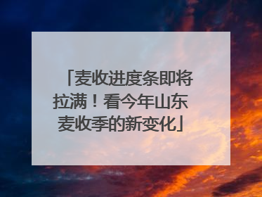 麦收进度条即将拉满！看今年山东麦收季的新变化