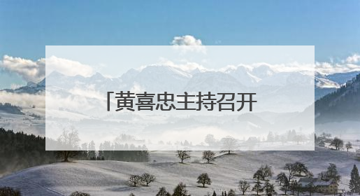 黄喜忠主持召开书记专题会议