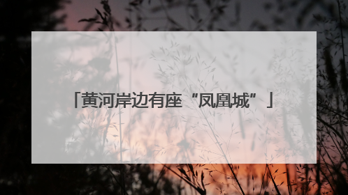 黄河岸边有座“凤凰城”