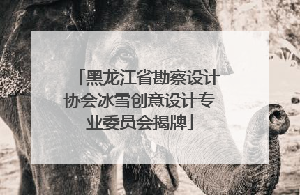 黑龙江省勘察设计协会冰雪创意设计专业委员会揭牌