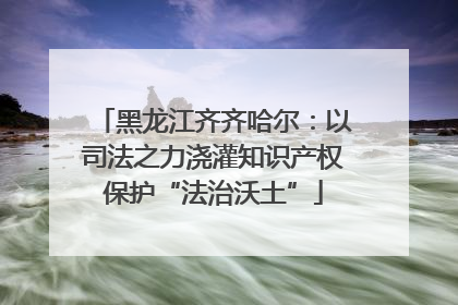 黑龙江齐齐哈尔：以司法之力浇灌知识产权保护“法治沃土”