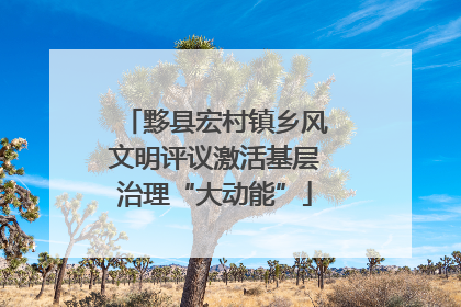 黟县宏村镇乡风文明评议激活基层治理“大动能”