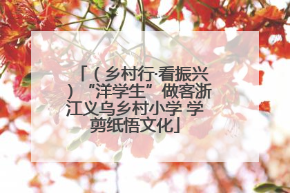 （乡村行·看振兴）“洋学生”做客浙江义乌乡村小学 学剪纸悟文化