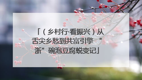 （乡村行·看振兴）从舌尖乡愁到共富引擎 “浙”碗泡豆腐蜕变记
