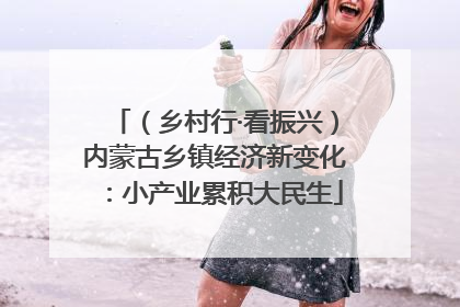 （乡村行·看振兴）内蒙古乡镇经济新变化：小产业累积大民生