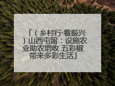 （乡村行·看振兴）山西屯留：设施农业助农增收 五彩椒带来多彩生活