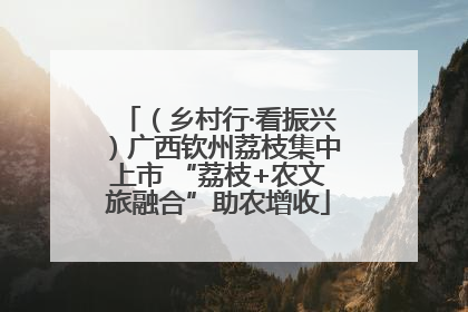 （乡村行·看振兴）广西钦州荔枝集中上市 “荔枝+农文旅融合”助农增收