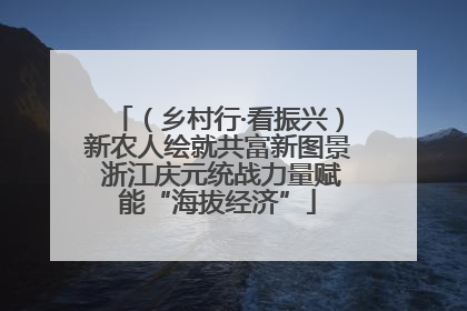 （乡村行·看振兴）新农人绘就共富新图景 浙江庆元统战力量赋能“海拔经济”