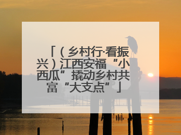 （乡村行·看振兴）江西安福“小西瓜”撬动乡村共富“大支点”
