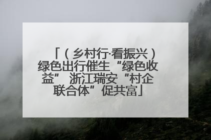 （乡村行·看振兴）绿色出行催生“绿色收益” 浙江瑞安“村企联合体”促共富