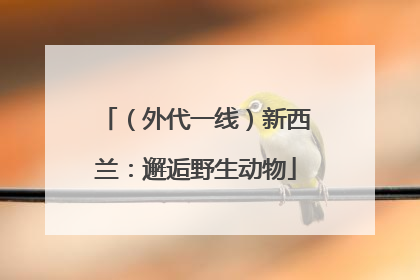 （外代一线）新西兰：邂逅野生动物