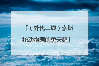 （外代二线）索斯托动物园的黑天鹅